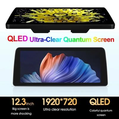 12.3 inch Android System 6G 128G Car Radio Multimedia Video Player with GPS Navigation